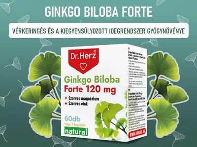 Dr. Herz Ginkgo Biloba Forte 120mg